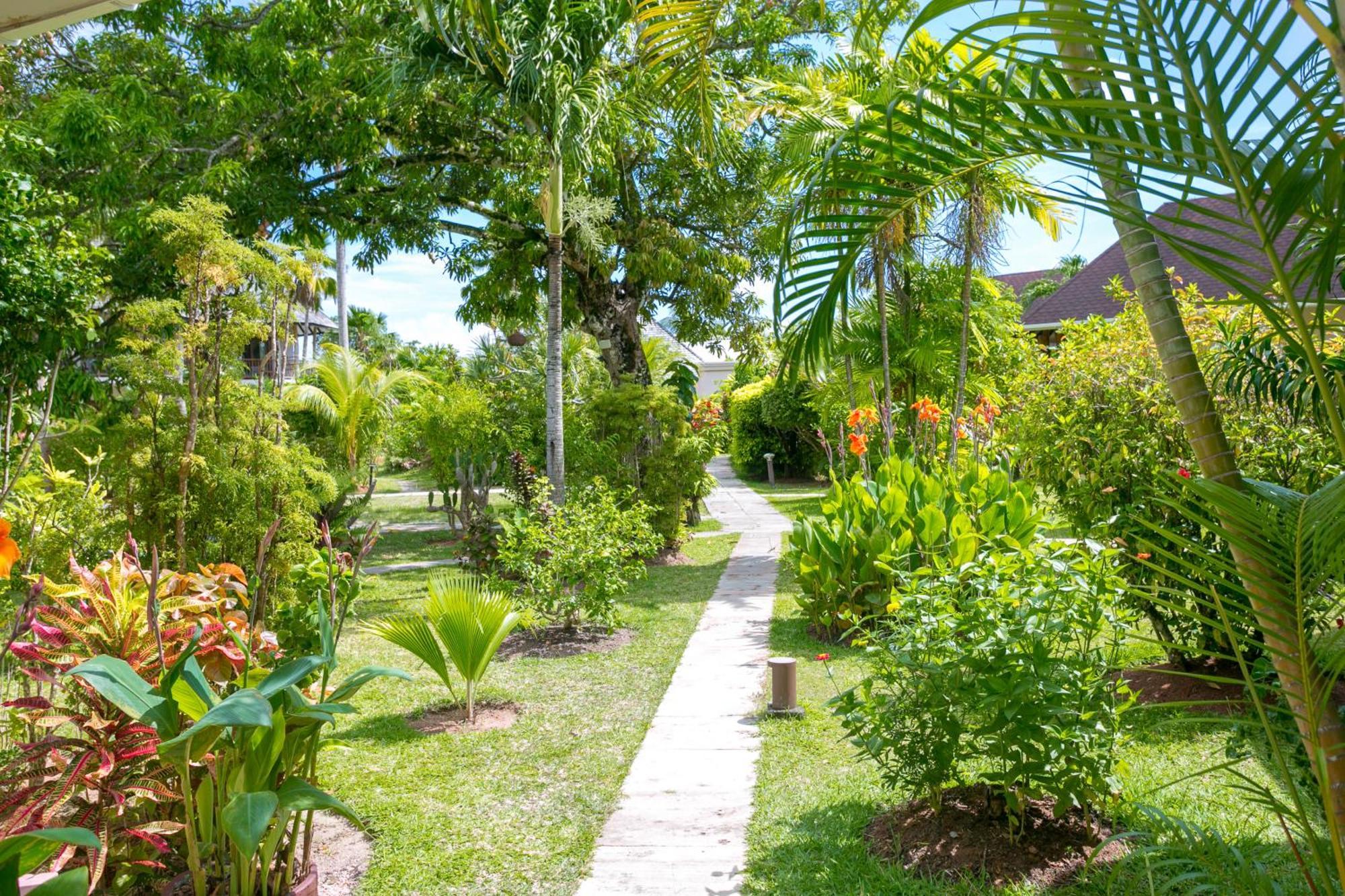 Les Lauriers Eco Hotel Anse Volbert Village  Bagian luar foto